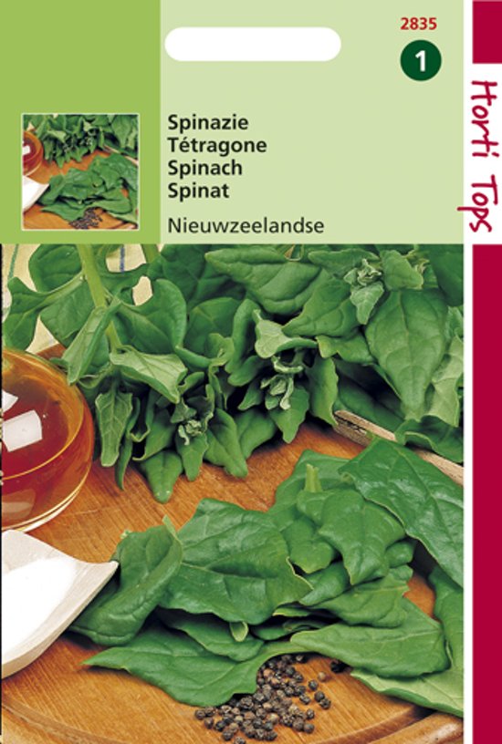 Neuseelandischer Spinat (Tetragonia) 100 Samen HT